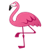 :flamingo: