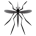 :mosquito: