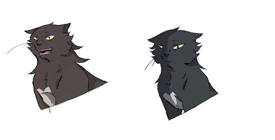raven expressions