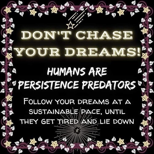 dont chase your dreams