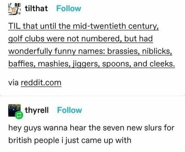 british slurs