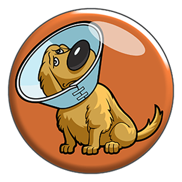 items-cone_of_shame