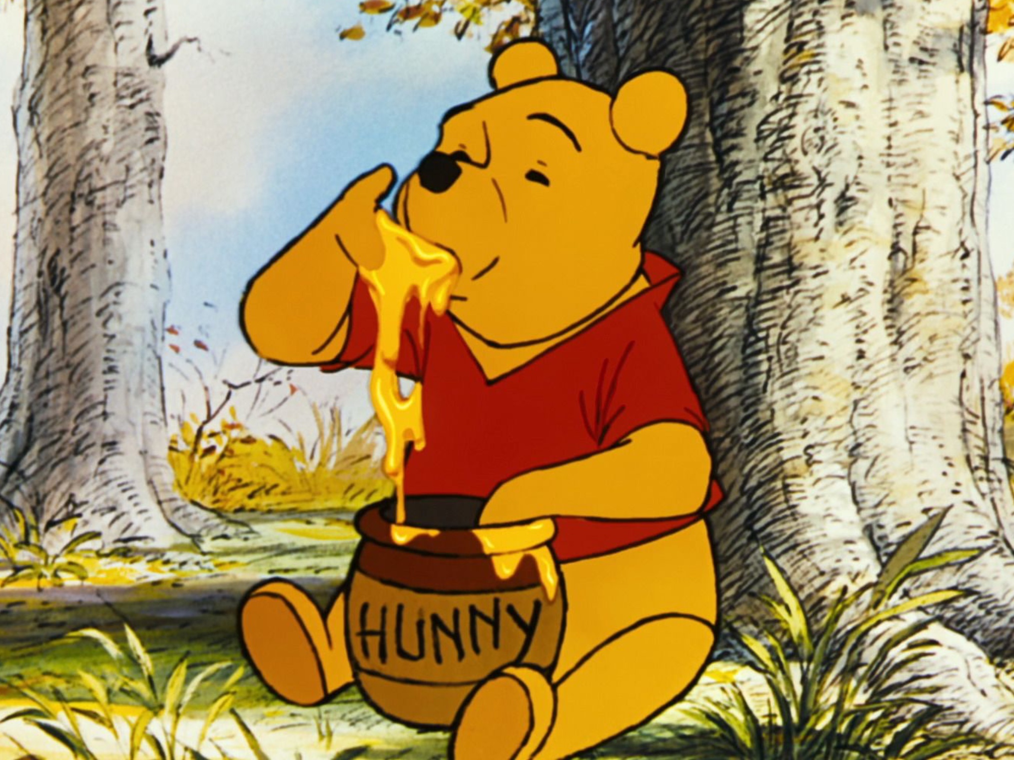 Winnie The Pooh-Character Concept.