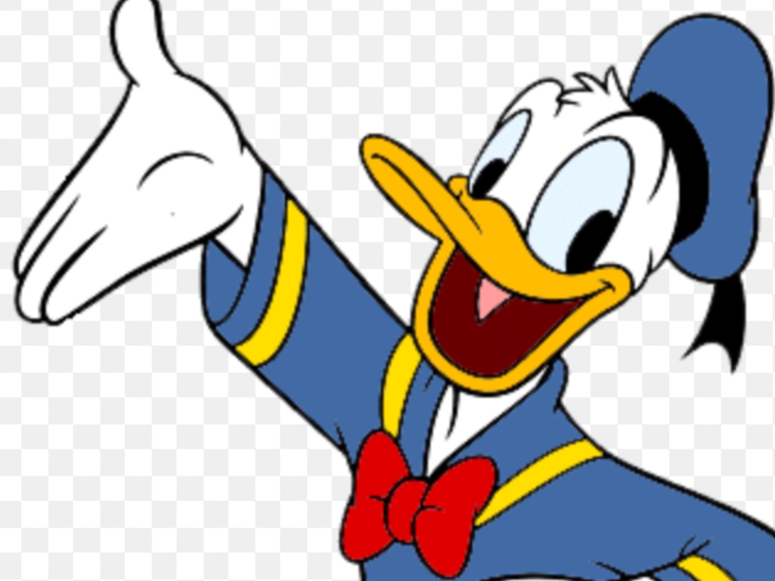 Donald Duck Hero Concept.