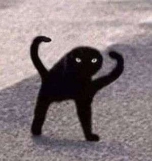 Cursed_Cat