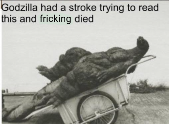 Godzilla-had-a-stroke-trying-to-read-this-and-fricking-died-meme-10