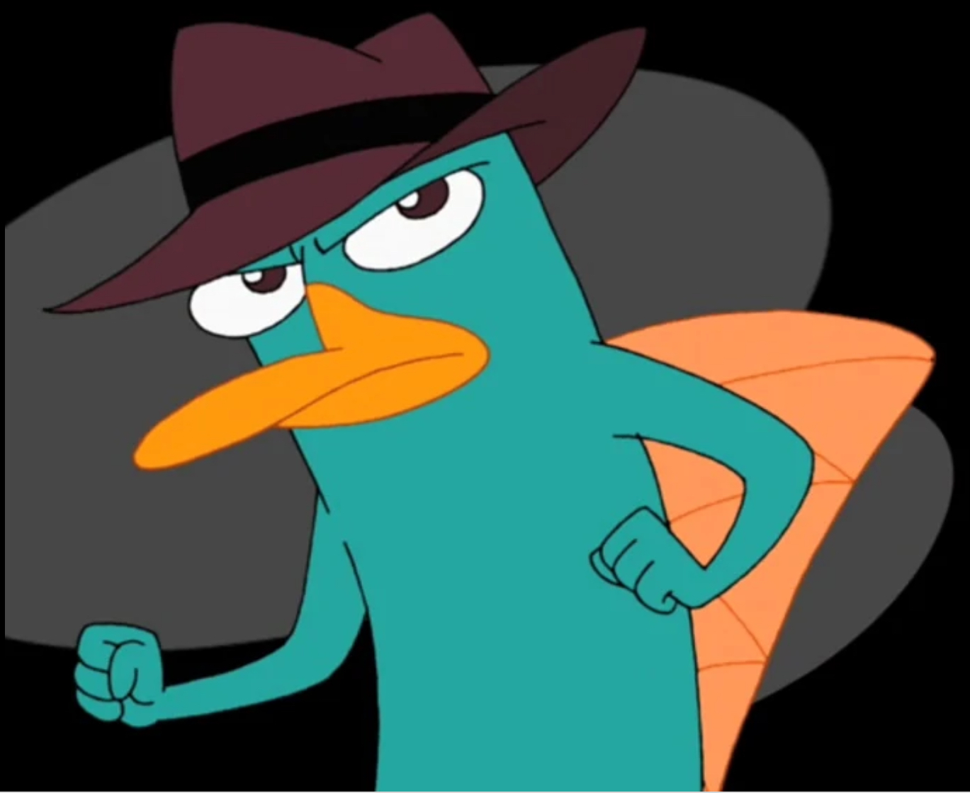Perry the platypus update.