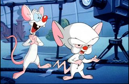 965792-pinky_and_the_brain